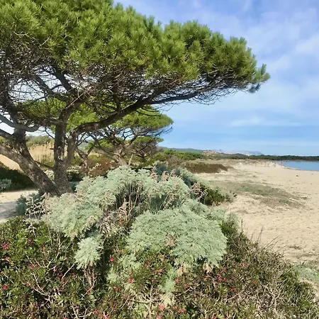 Casa vacanze Cice, Con Giardino Budoni