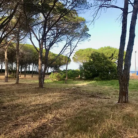 Cice, Con Giardino *