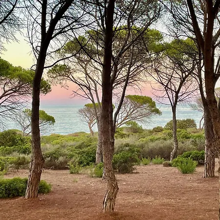 Cice, Con Giardino * בודוני