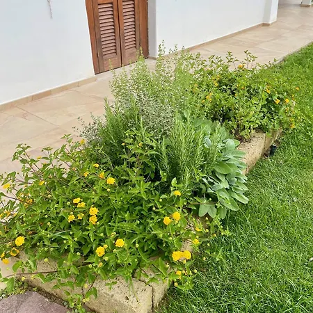 Cice, Con Giardino Дом отдыха