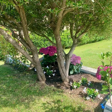 Cice, Con Giardino