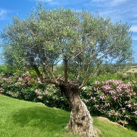 בית נופש Cice, Con Giardino בודוני