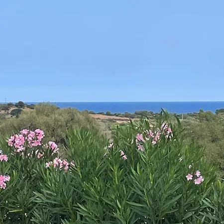 Cice, Con Giardino Будони